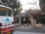IMG_5239 IMG_5239