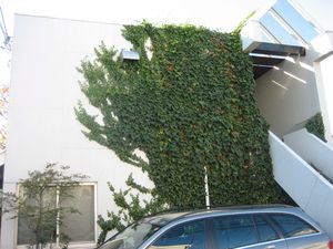 IMG_4935 IMG_4935