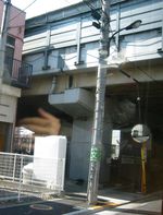 IMG_5302 IMG_5302