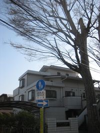 IMG_5337 IMG_5337