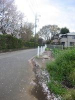 IMG_5348 IMG_5348