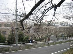 IMG_5281 IMG_5281