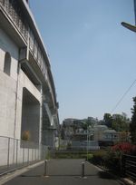 IMG_5386 IMG_5386