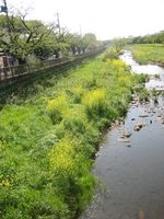 IMG_5378 IMG_5378