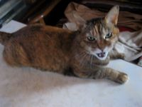 IMG_5649 IMG_5649