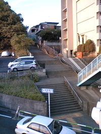 Vfts0005