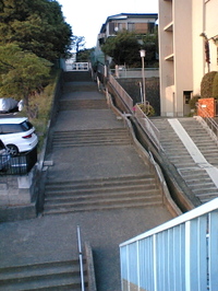 Vfts0006